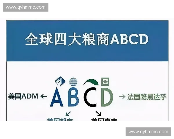 从战场博弈到体系构建全面解析现代作战战术厚度形成机制与实战价值